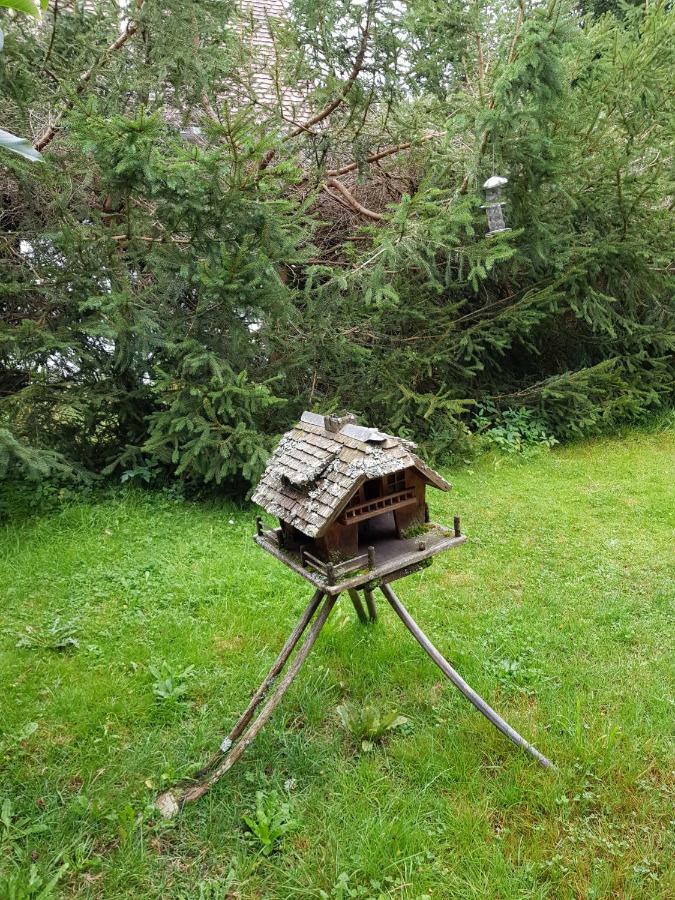Pension Gebele Schluchsee Luaran gambar